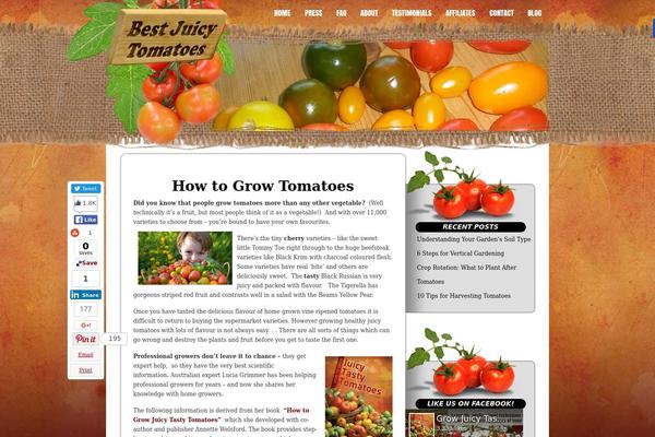 Site using FLV Embed plugin