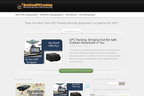 InReview theme site design template sample