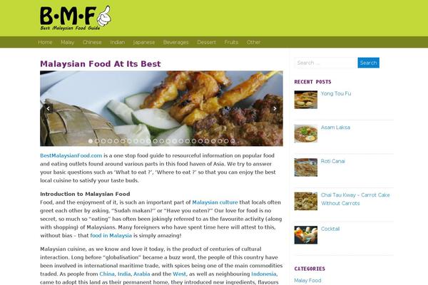 Magazon Wp theme site design template sample