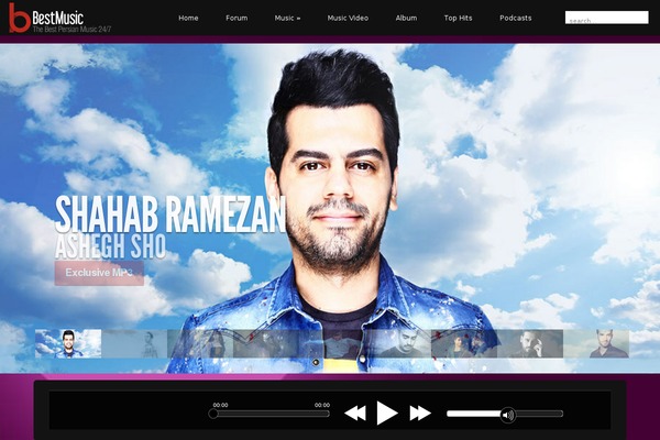 Acoustic theme site design template sample