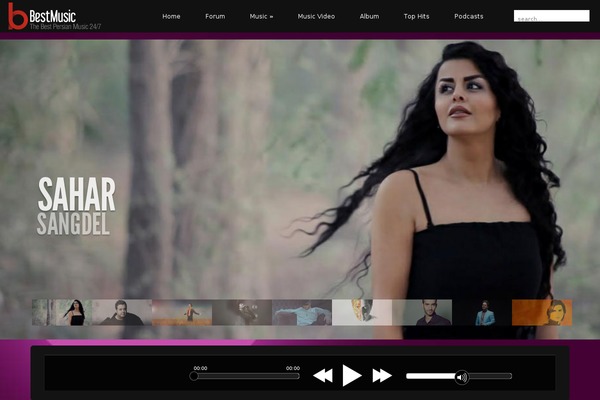 Acoustic theme site design template sample