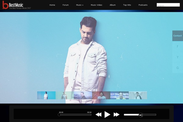 Acoustic theme site design template sample