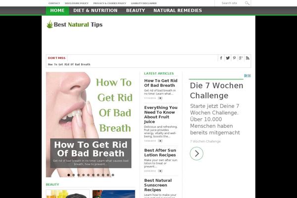 Max Mag theme site design template sample
