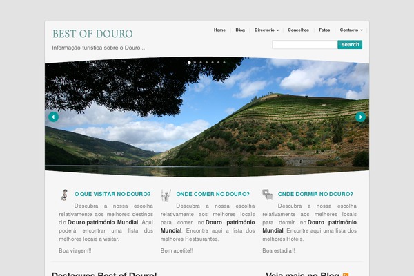 foliostudio theme websites examples