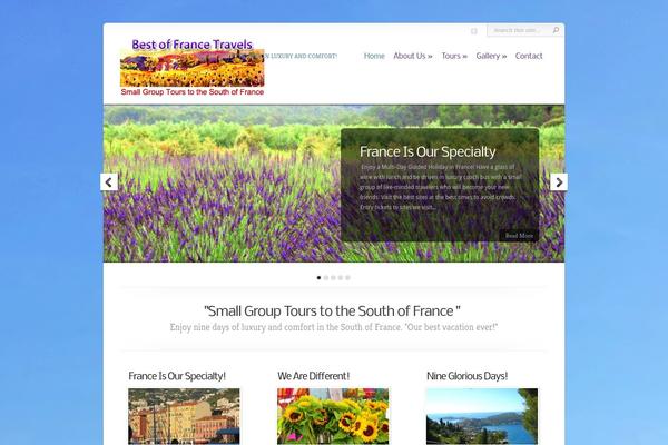 Chameleon theme site design template sample