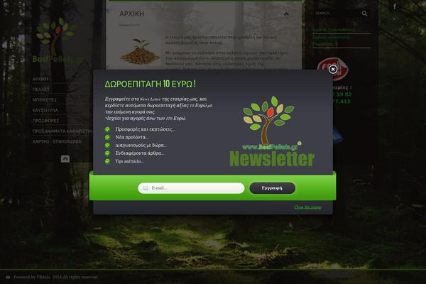 SmartScreen fullscreen responsive WordPress theme theme site design template sample