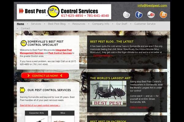 Bp theme site design template sample
