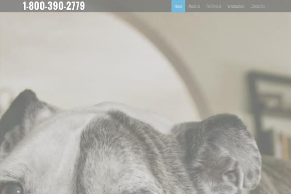 Learner theme site design template sample