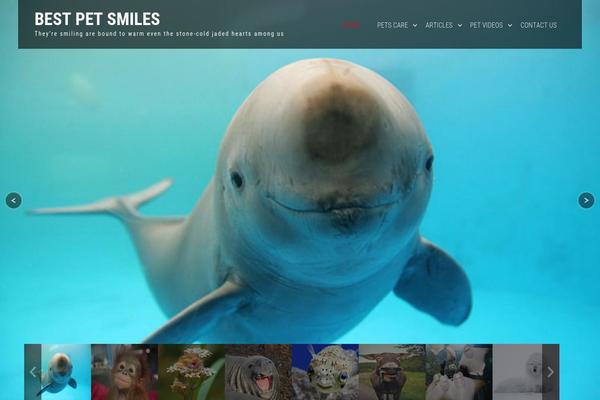 SKT Photo World theme site design template sample