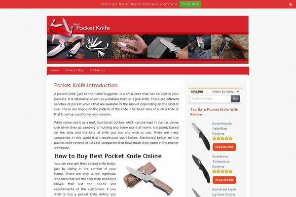 Site using Easyazon-pro-4.0.9 plugin