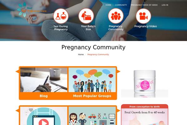 Site using Website Logo plugin