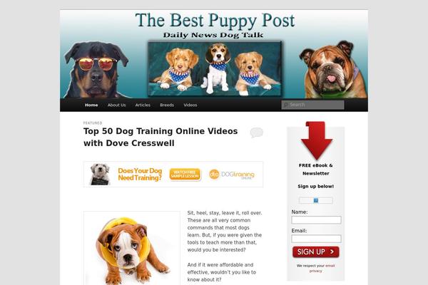 Site using AddToAny Share Buttons plugin