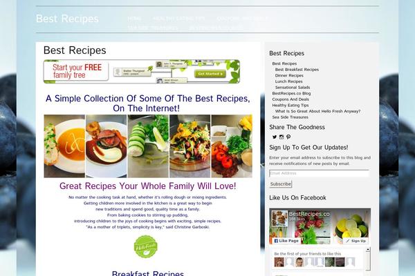 Food Recipes theme site design template sample