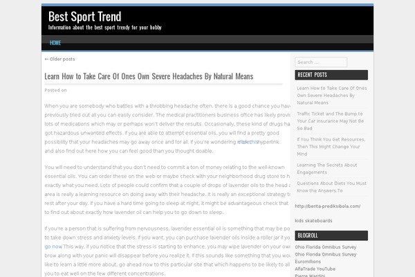 SPORTY theme site design template sample
