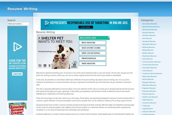 Resume theme site design template sample