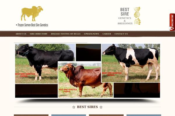 humanity theme websites examples