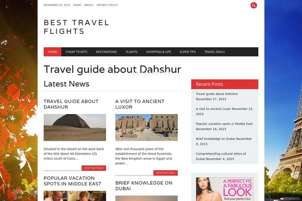 The Newswire theme site design template sample