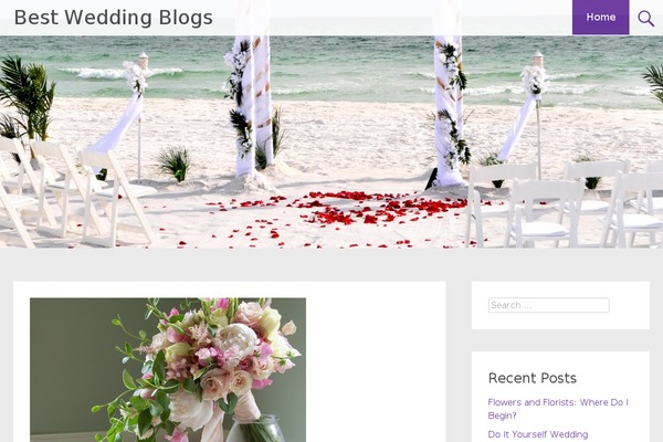 cerise WordPress theme, websites list used cerise theme cerise theme websites examples