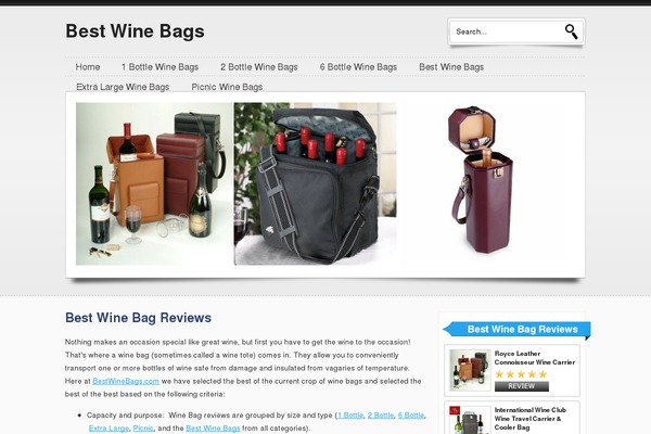 Simplereviews theme site design template sample
