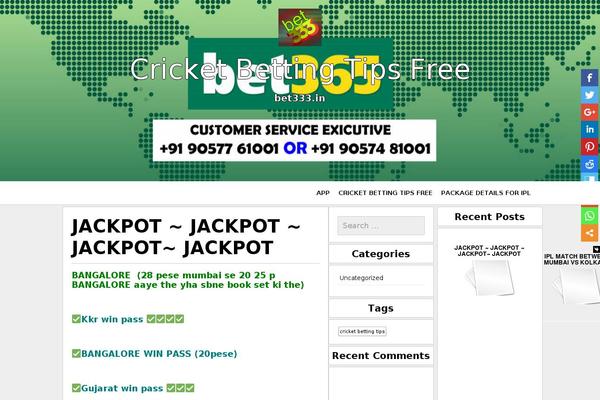 SG Window theme site design template sample