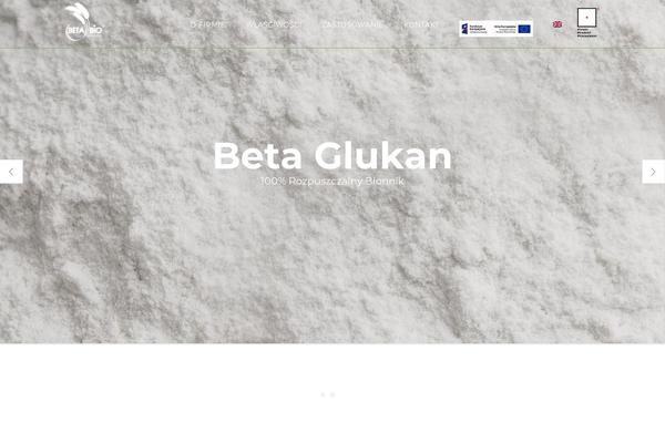 Marketing theme site design template sample