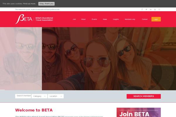 Beta theme site design template sample