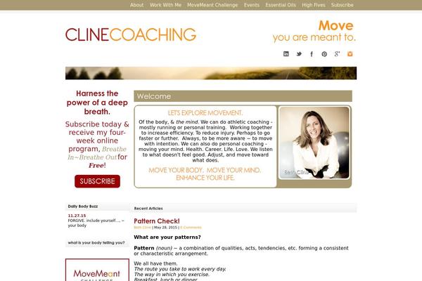 Site using Brankic Social Media Widget plugin
