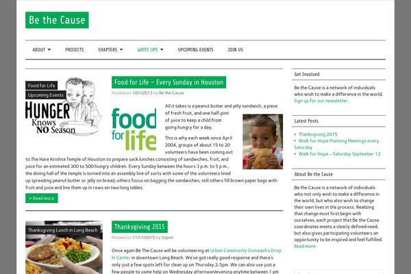 Anderson Lite theme site design template sample