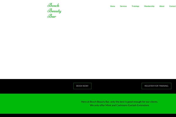 Virtue Premium theme site design template sample