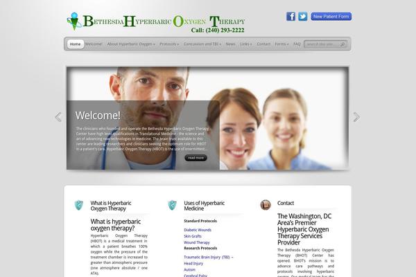 TheProfessional theme site design template sample