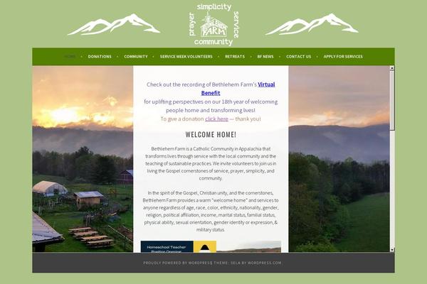 Sela theme site design template sample