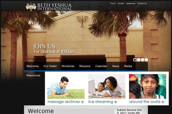 theme1294 theme websites examples