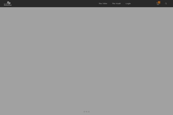 vod WordPress theme, websites list used vod theme vod theme websites examples