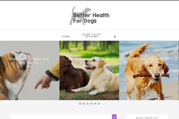 Airashi theme site design template sample