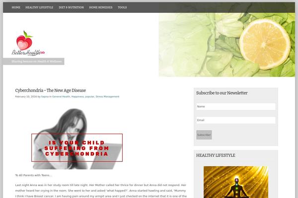 deCente theme site design template sample