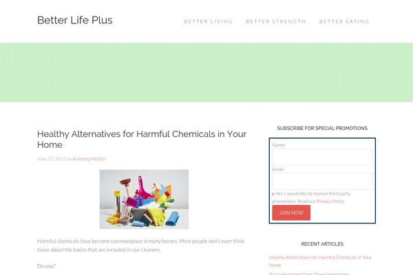 Beautiful Pro Theme theme site design template sample