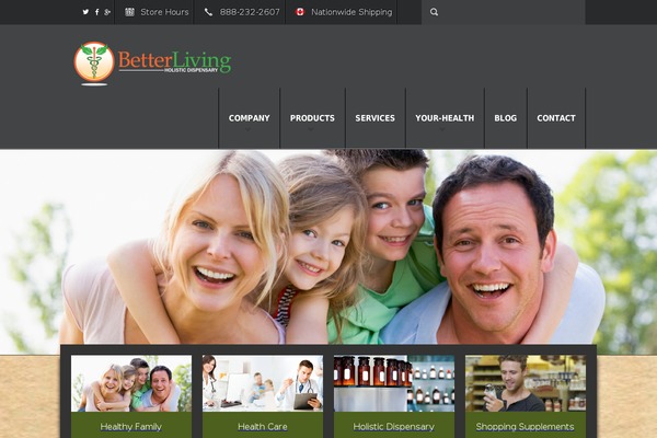 Fit Wp theme site design template sample