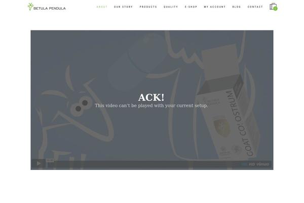 Shore theme site design template sample