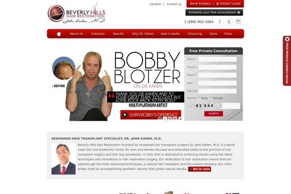 ZenLite theme site design template sample