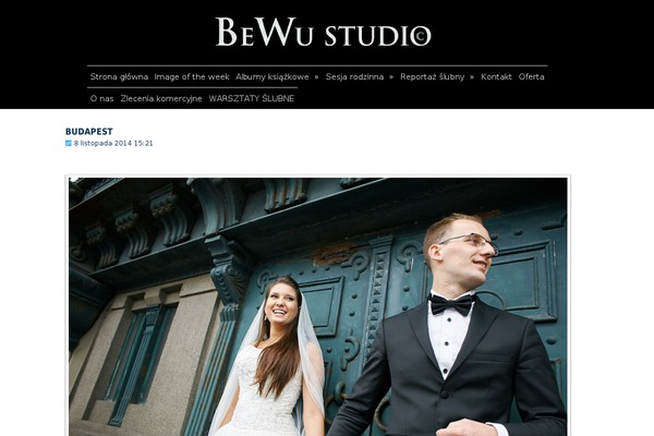 Retina theme site design template sample