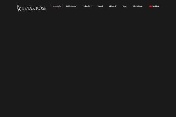 Ollis theme site design template sample