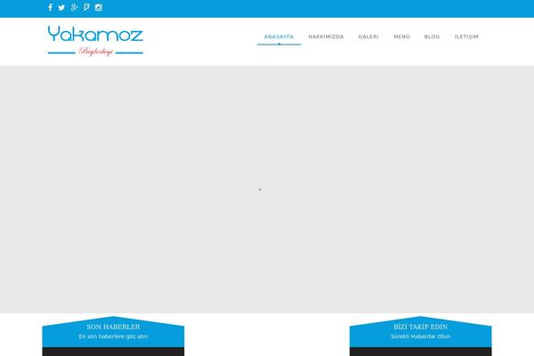 NUVO theme site design template sample