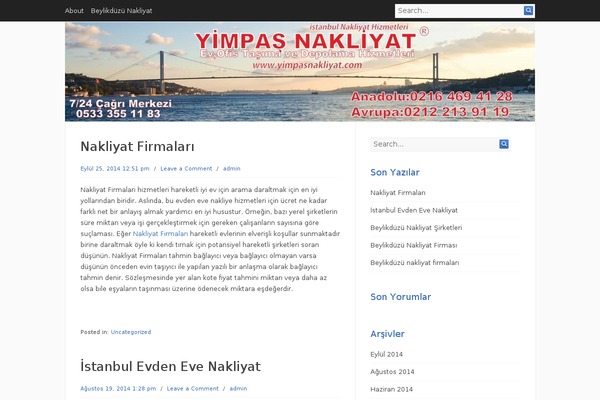 Infinity theme site design template sample