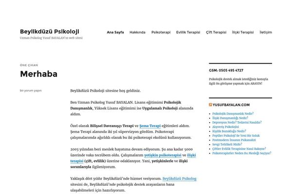 iMagazine theme site design template sample