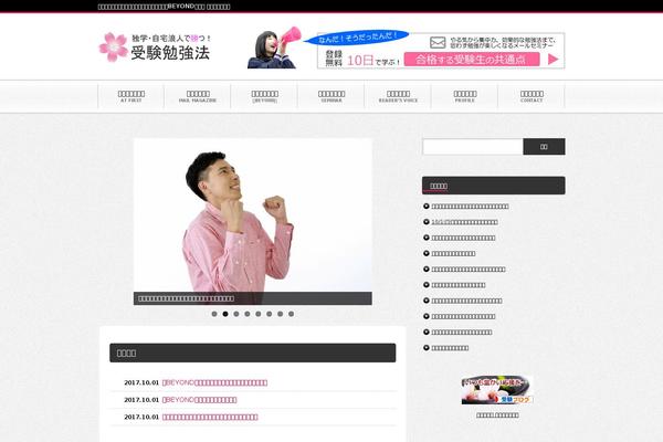 BlogPress theme site design template sample