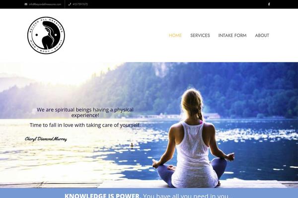 Site using Video Embed & Thumbnail Generator plugin