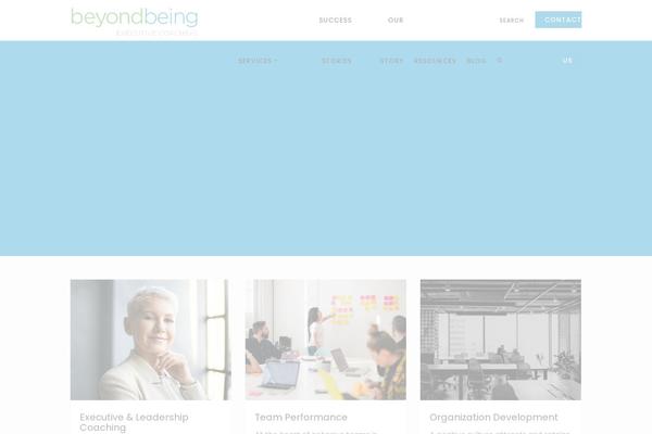 beyondbeingcoach.com site used Success