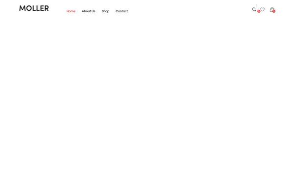 beyonddad.com site used Moller