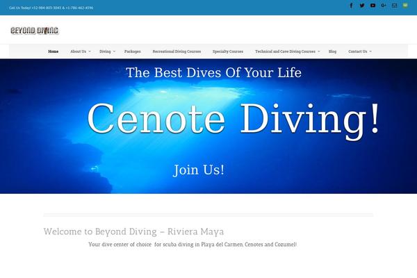 beyonddivingscuba.com site used Avadanew