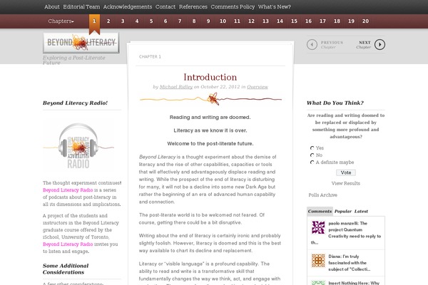 beyondliteracy.com site used Chapters